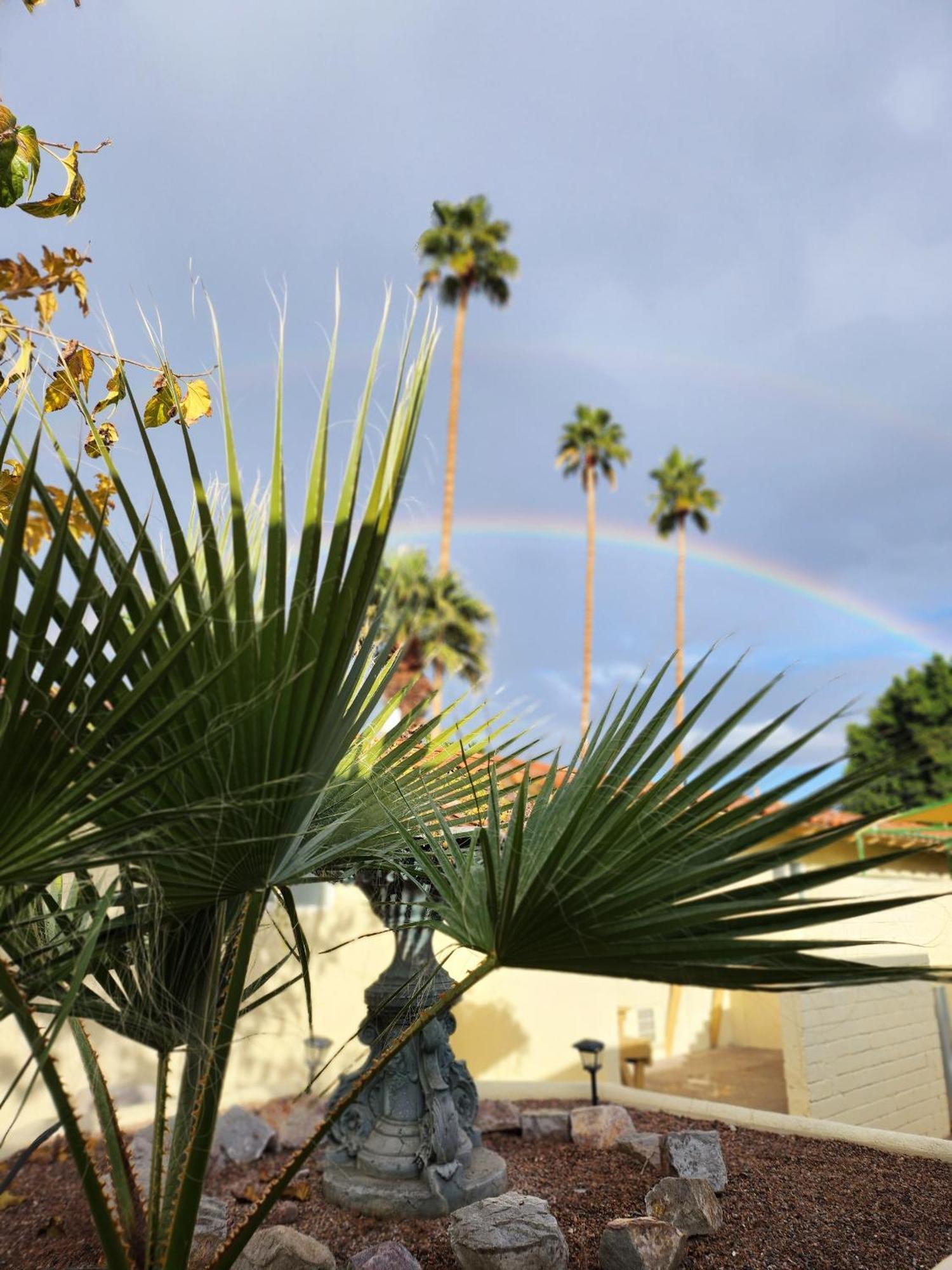 Exotic Dreams Resort Adults Only Palm Springs Exterior foto